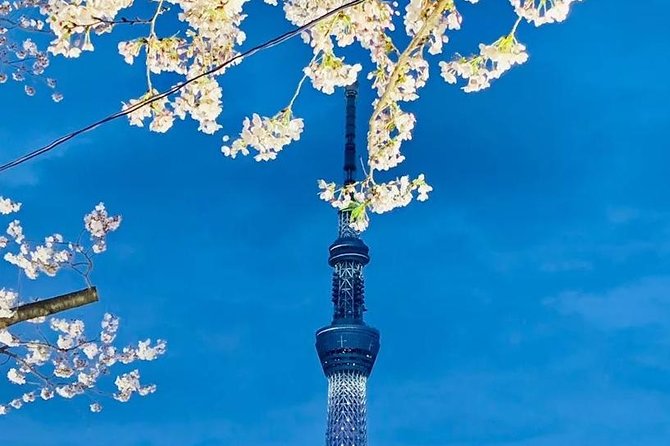 1 Day Private Charter Tokyo Tour (Green Number Plates) - Nakamise Shopping Street and the Tokyo Skytree