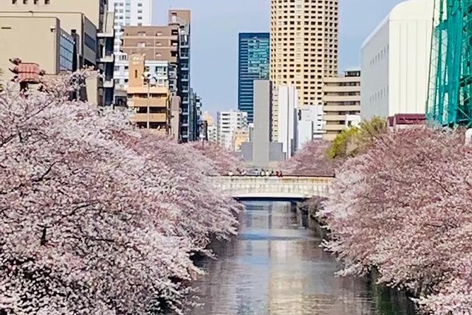 1 Day Private Charter Tokyo Tour (Green Number Plates) - Meiji Jingu, a calm break in the city