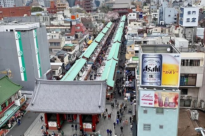 1 Day Private Charter Tokyo Tour (Green Number Plates) - Shibuya Crossing and Hachiko