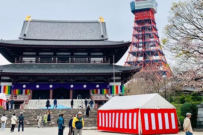 1 Day Private Charter Tokyo Tour (Green Number Plates) - Shinjuku Gyoen and the cherry blossom question