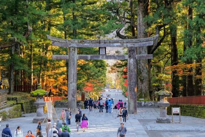 1- Day Private Tour to Nikko Tochigi With English Speaking Driver - Kegon Falls, Nikko’s big natural show