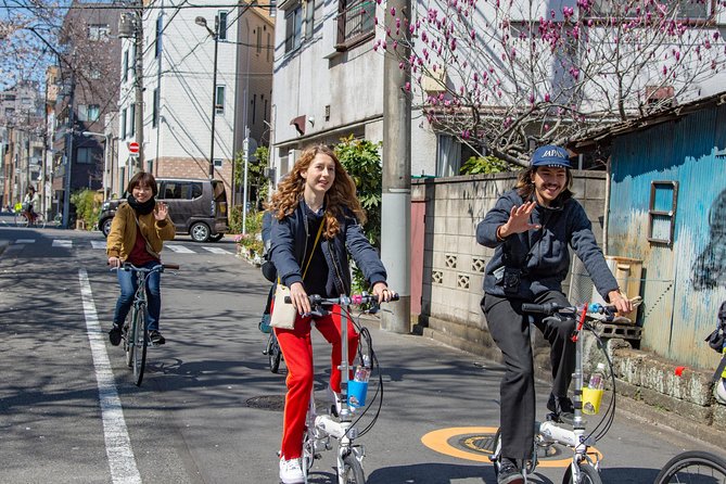 2.5 Hour-Guided Cycle Tour in the Central Tokyo - Imado Shrine, Cats, and Good Fortune