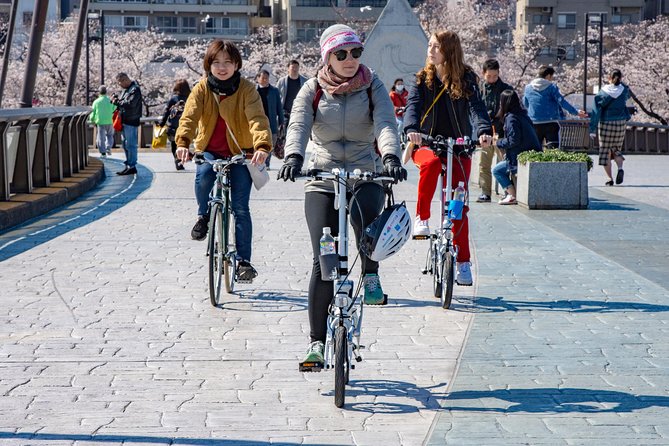 2.5 Hour-Guided Cycle Tour in the Central Tokyo - Senso-ji, Tokyo’s Big Classical Stop