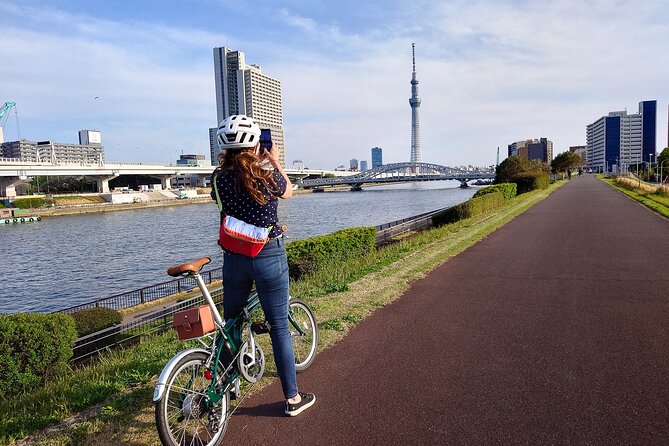 3-Hour Tokyo Private E-Bike Tour Starting from Your Hotel - The private format is the main advantage