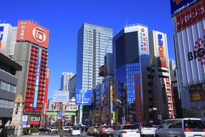 Akihabara Anime & Game Adventure Walking Tour (Group or Private) - Akihabara in Three Hours