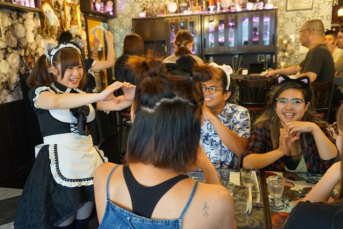 Akihabara Anime & Game Adventure Walking Tour (Group or Private) - Akiba Culture Zone and the Art of Browsing