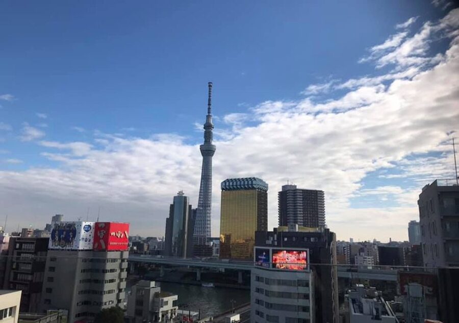 Asakusa, Tokyo's #1 Family Food Tour - Family fit, food needs, and practical limits
