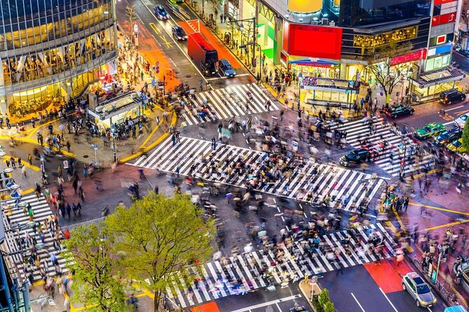 Best of Shibuya Food Tour - Key points to know before you book