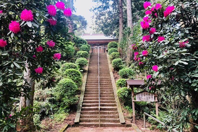 Buddha, Bamboo & Zen - Bespoke Kamakura Private Walking Tours - Starting at Kamakura Station and choosing your pace