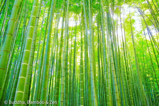 Buddha, Bamboo & Zen - Bespoke Kamakura Private Walking Tours - Kotoku-in and the Great Buddha