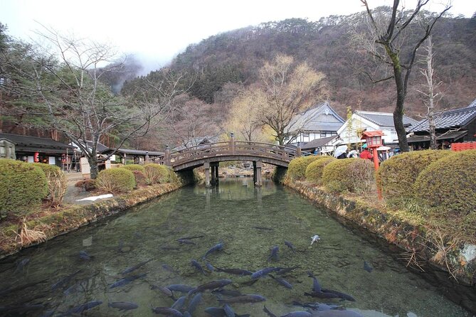 Chartered Private Tour - Tokyo to Nikko, Toshogu, Edo Wonderland - Edo Wonderland: history with costumes and ninja shows