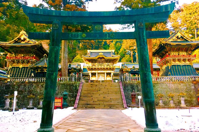 Chartered Private Tour - Tokyo to Nikko, Toshogu, Edo Wonderland - Seasonal choices: Ashikaga flowers and Tochigi strawberries