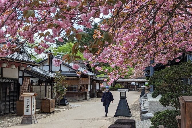 Chartered Private Tour - Tokyo to Nikko, Toshogu, Edo Wonderland - Shinkyo Bridge, Futarasan, and Taiyuimbyo
