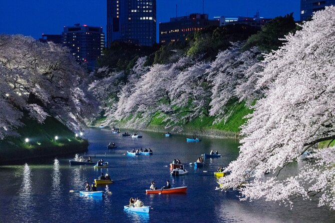 Cherry Blossom Private Tour - Guides who add value beyond the driving