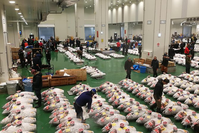 Complete Tuna Auction & Toyosu Fish Market Tour - Key points at a glance