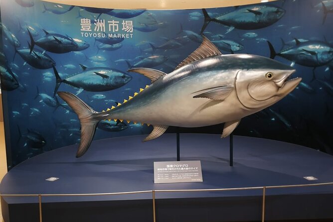 Complete Tuna Auction & Toyosu Fish Market Tour - Why Toyosu’s tuna auction is worth the lost sleep