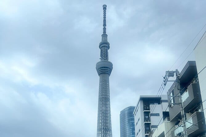 Customizable Private Tokyo Trip with an English Speaking Driver - Tokyo Skytree and the cost of the view