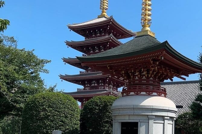 Customizable Private Tokyo Trip with an English Speaking Driver - Shibuya Crossing and the loyal dog