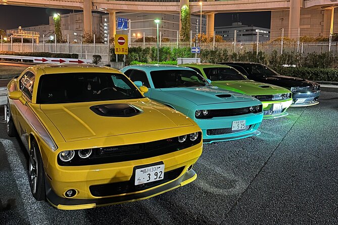 Daikoku Parking Tokyo Drift & APIT Car Meet JDM Culture Tour - Who should choose this private tour?
