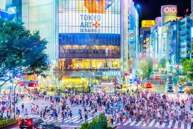 Day Private City Tour of Tokyo with English speaking driver - Why a private car helps in sprawling Tokyo