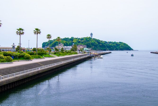 Day Trip to Kamakura & Enoshima: Shrines, Seaside, Temples & Tea - Meeting the Great Buddha at Kotoku-in