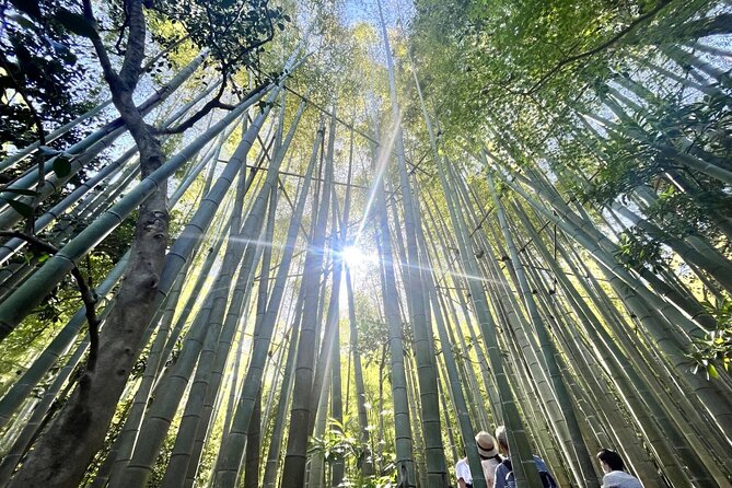 Day Trip to Kamakura & Enoshima: Shrines, Seaside, Temples & Tea - The train to Enoshima and the walk beside the sea
