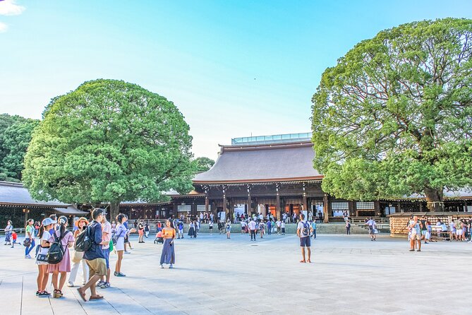 Discover Tokyo, Private Customized Tour with Expert Guides - Who gets the best value from this private Tokyo tour