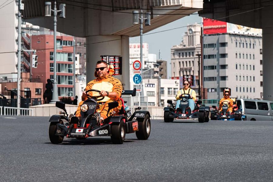 East Tokyo Go-Kart Tour - Tokyo Bay, Rainbow Bridge, and the best views