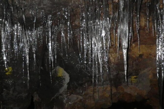 Exploring Mt Fuji Ice Cave and Sea of Trees Forest - Key points before you book