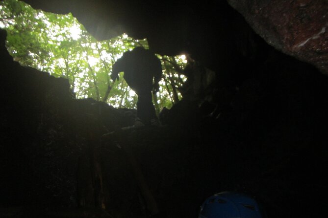 Exploring Mt Fuji Ice Cave and Sea of Trees Forest - Why this Mt Fuji forest tour feels different