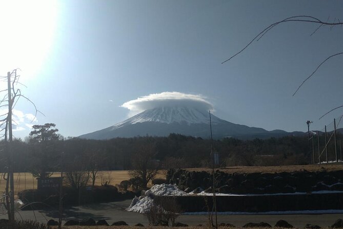 Exploring Mt Fuji Ice Cave and Sea of Trees Forest - Is $56.82 a fair price?