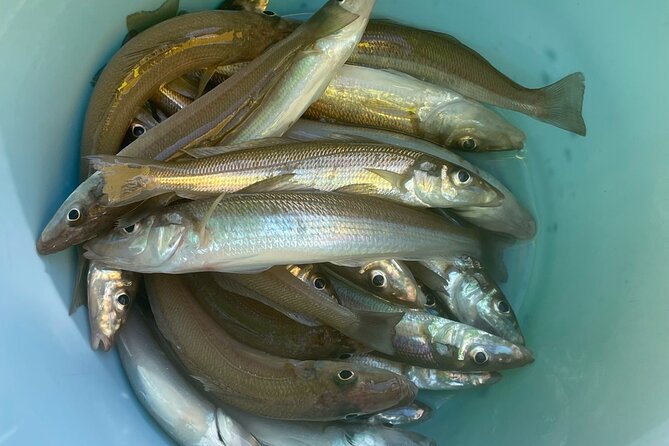 Fishing with Mt. Fuji Views and Japanese Home Cooking Experience - Is the $247.14 price good value?