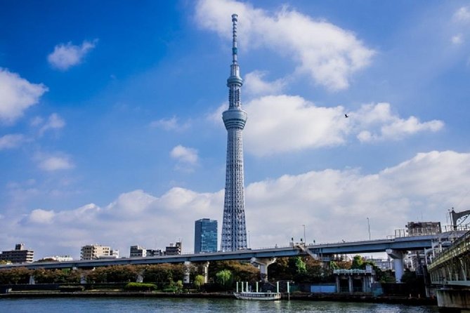 Freely set up plans Guided Private Tours in Tokyo - Shibuya Crossing: a short stop with a big payoff