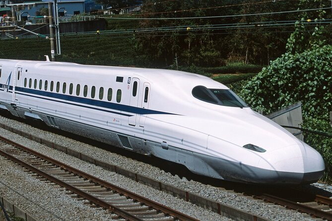 From Tokyo 1-Day Kyoto English-guided Tour by Bullet Train - The tag-team guide system