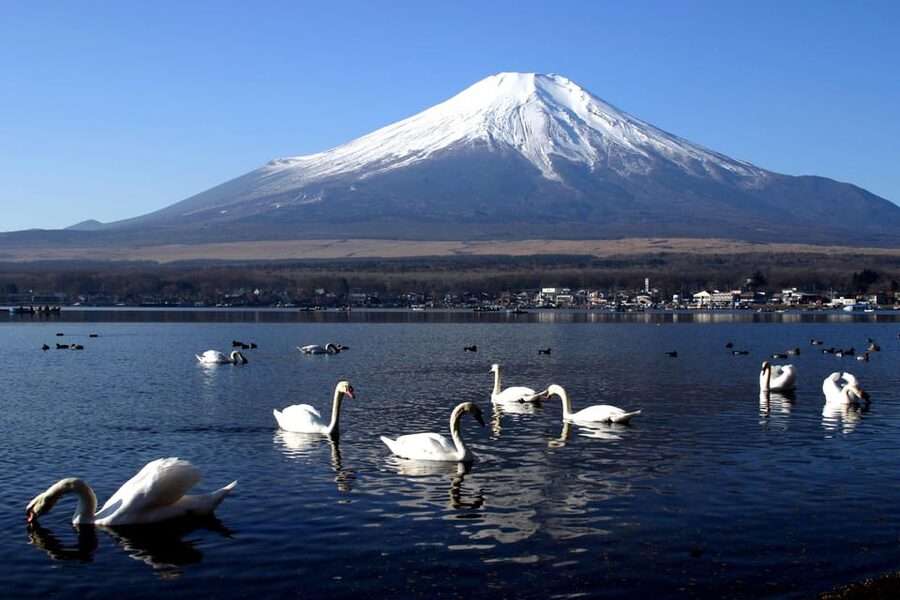 From Tokyo: Fuji Mountain Area - FujiQ - Lake Kawaguchiko - Chureito Pagoda - The timing needs a firm answer