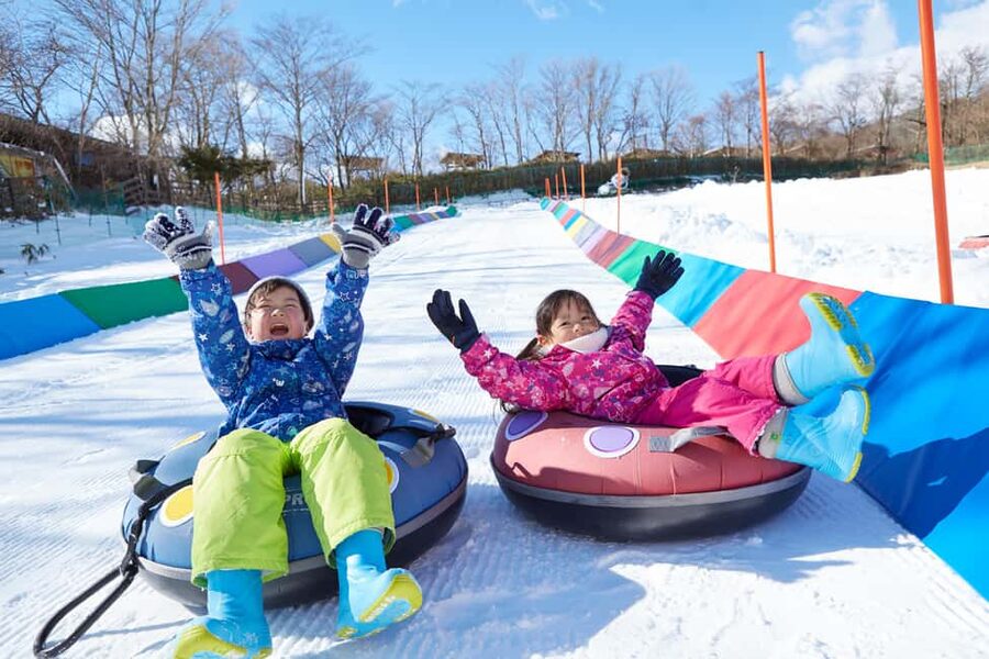 From Tokyo: Fujiyama Snow Resort Yeti Winter Ski Day Tour - Option B: ski equipment and lift access