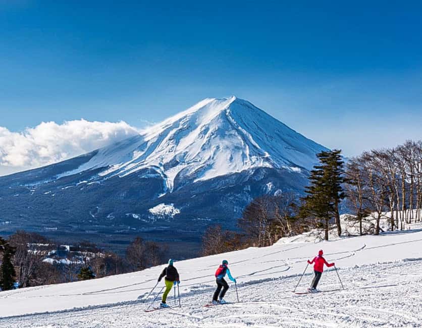 From Tokyo: Fujiyama Snow Resort Yeti Winter Ski Day Tour - Option C: the best fit for first-time skiers