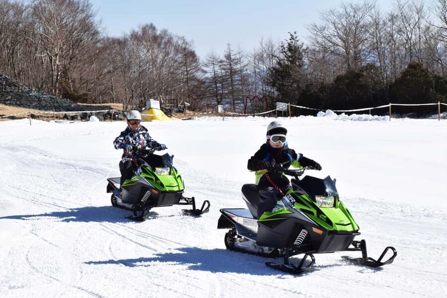 From Tokyo: Fujiyama Snow Resort Yeti Winter Ski Day Tour - Option D: sledding for a family snow day