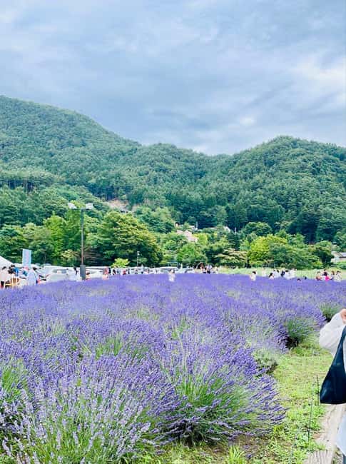 From Tokyo: Full-Day Mount Fuji Tour in English or Spanish - Why this Fuji day trip works