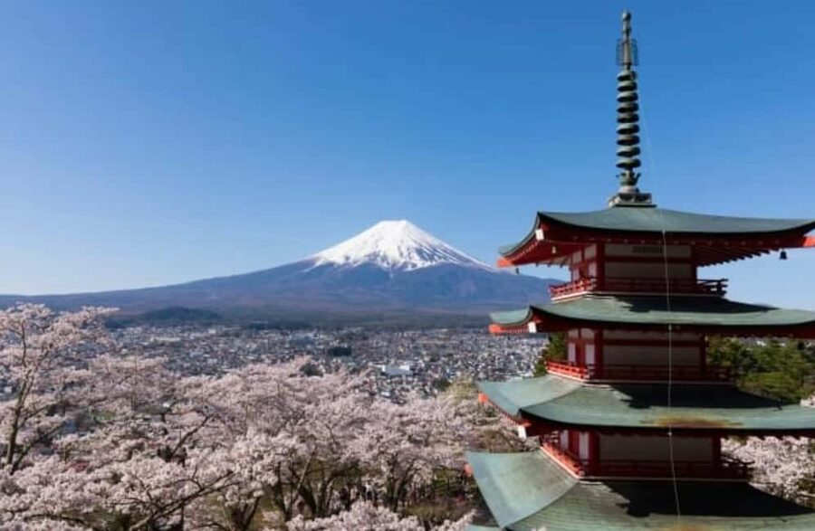 From Tokyo: Full-Day Mount Fuji Tour in English or Spanish - Oishi Park by Lake Kawaguchiko