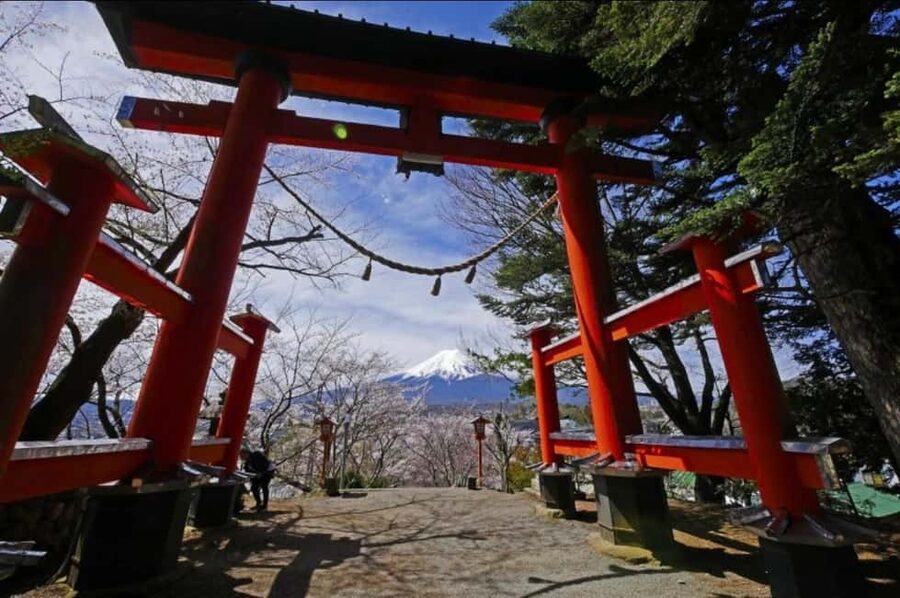From Tokyo: Full-Day Mount Fuji Tour in English or Spanish - Arakurayama Sengen Park and the 400-step choice