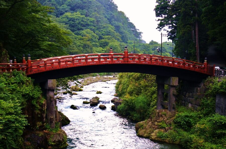 From Tokyo: Guided Day Trip to Nikko World Heritage Sites - The long ride back to Shinjuku
