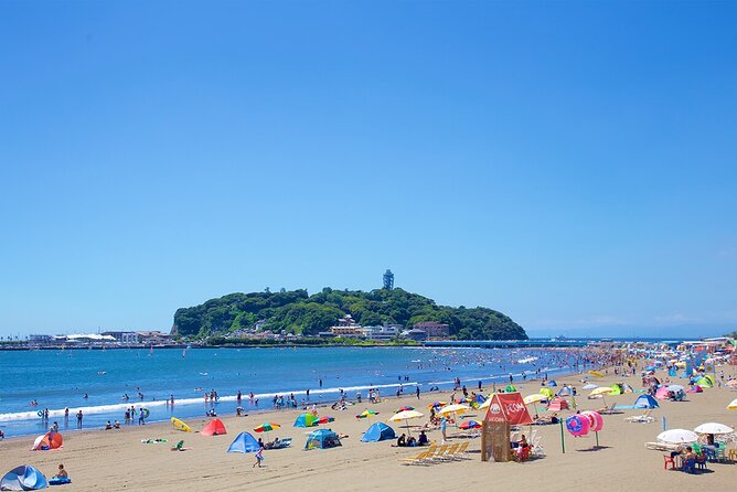From Tokyo: Kamakura & Enoshima 1-Day Bus Tour - The bus, group size, and long return