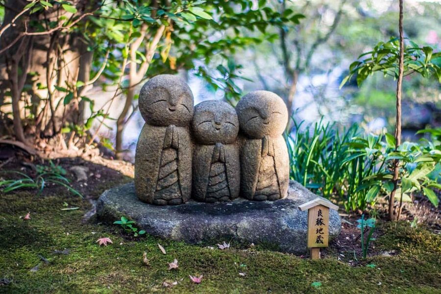 From Tokyo: Kamakura Full Day Tour with a Local Expert Guide - Key points to know before you book