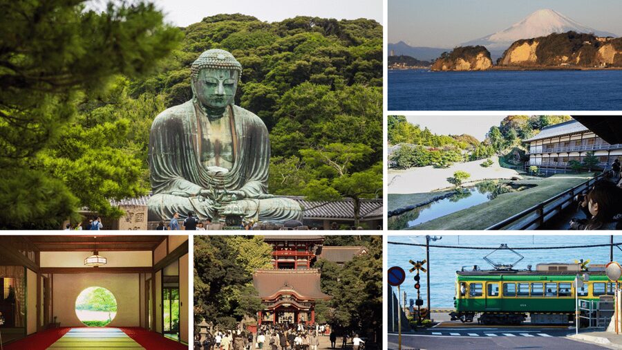 From Tokyo: Kamakura Full Day Tour with a Local Expert Guide - Tsurugaoka Hachimangu explains Kamakura’s public side