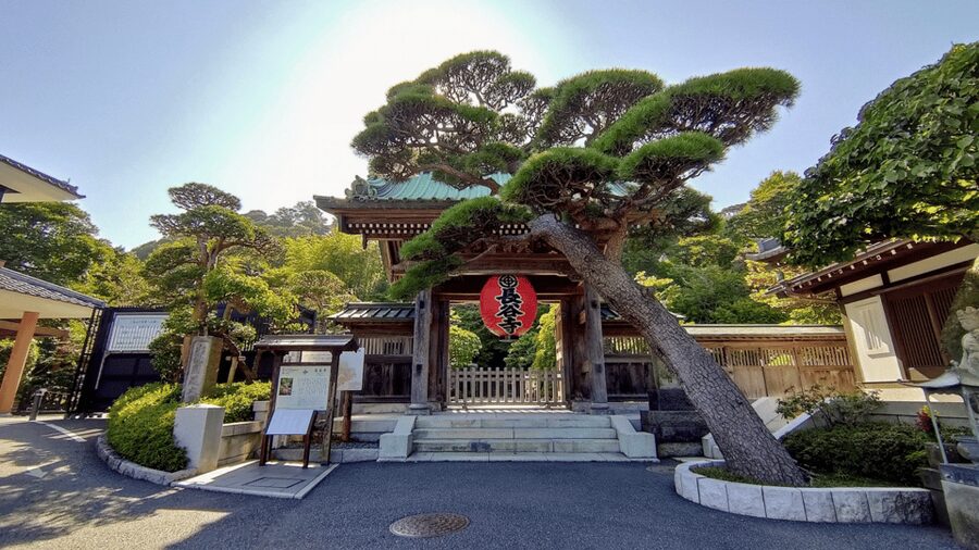 From Tokyo: Kamakura Full Day Tour with a Local Expert Guide - Pickup in Tokyo or start in Kamakura