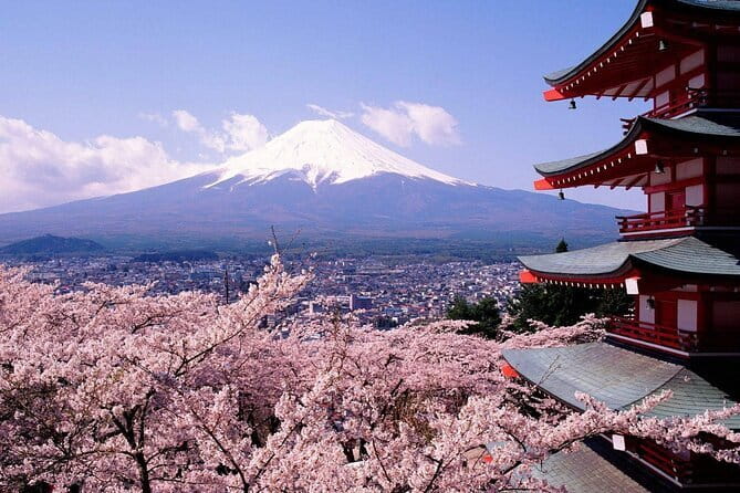 From Tokyo Kamakura, Hachimangu Shrine and Enoshima Full Day Tour - What the guide adds to a shared tour
