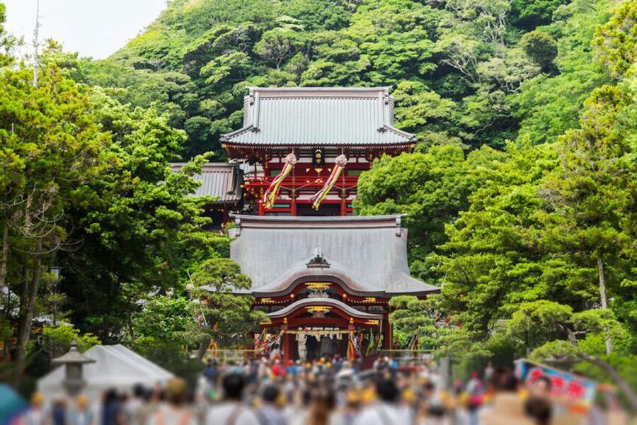 From Tokyo: Kamakura Private Customize Tour by Luxury Van - Kamakura beaches and the Slam Dunk train view