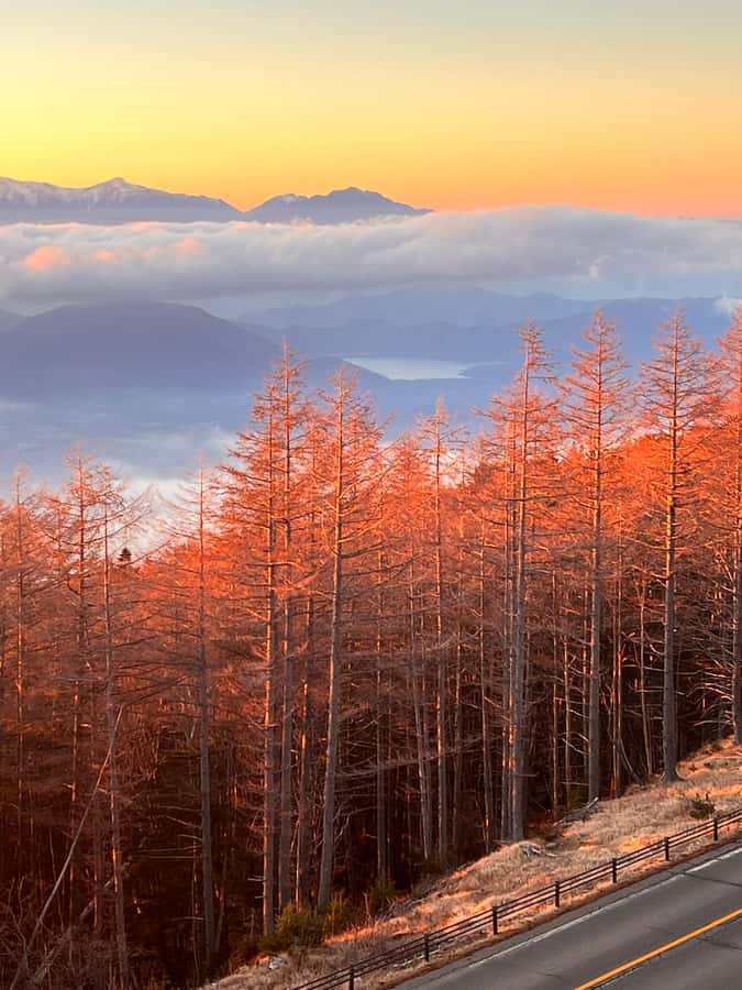 From Tokyo: Mount Fuji and Hakone Private Day Trip - Key points before you book