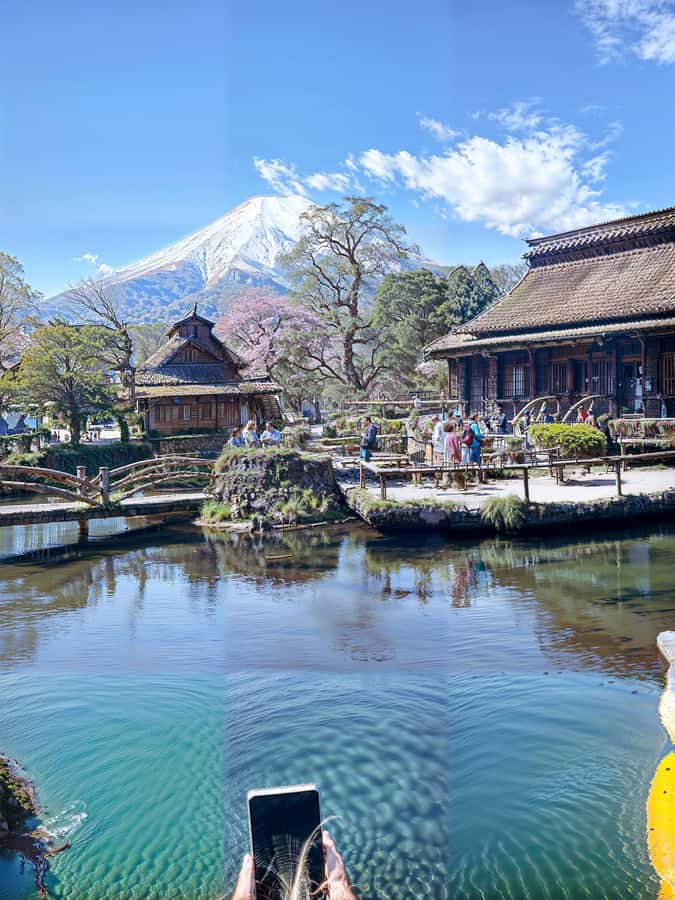 From Tokyo: Mount Fuji and Hakone Private Day Trip - Why combine Mount Fuji and Hakone in one long day